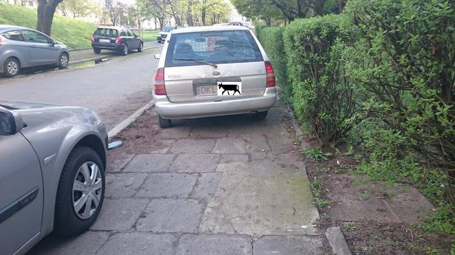 Tak potrafią parkować we Wrocławiu