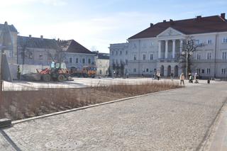 Zielona rewitalizacja w Rynku w Kielcach