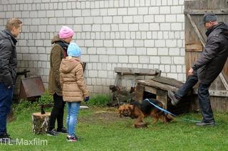 M jak miłość odc. 1204. Paweł (Rafał Mroczek), pies Kminek (Lizak), Ala (Olga Frycz), Basia (Gabriela Raczyńska)