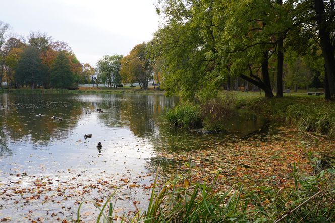 Park Lubomirskich w Białymstoku jesienią 