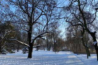 Śnieżna zima w Parku Praskim