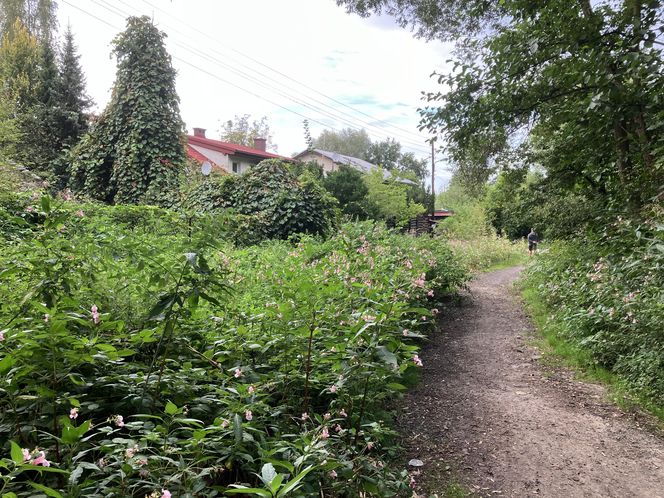 Nowe ulice i przebudowy na południu Krakowa