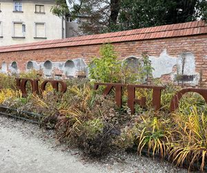 Park im. Wisławy Szymborskiej w Krakowie