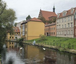 Rzeźby i pomniki, które tworzą Bydgoszcz. Poznaj symbole miasta