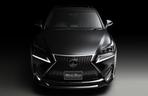 Lexus NX by Wald International