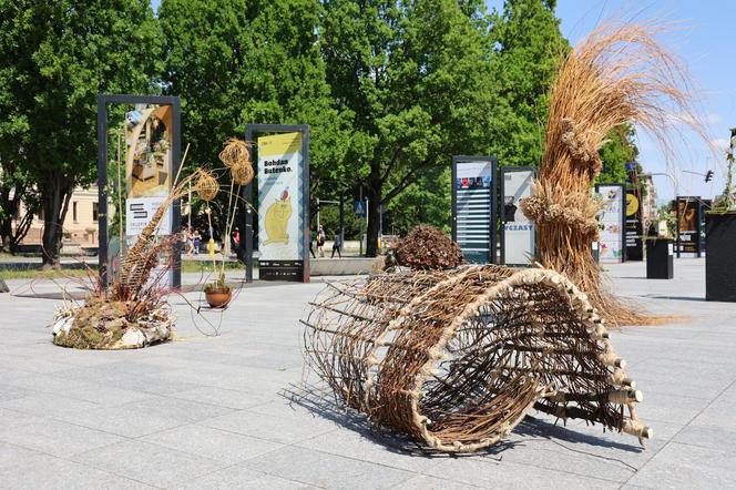 Weekend z florystyką w Lublinie. Zobacz imponujące roślinne instalacje w centrum miasta!