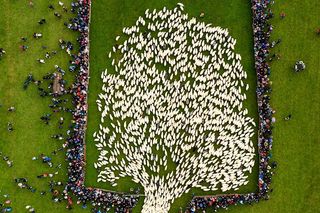 Jesienny redyk w Szczawnicy 2024