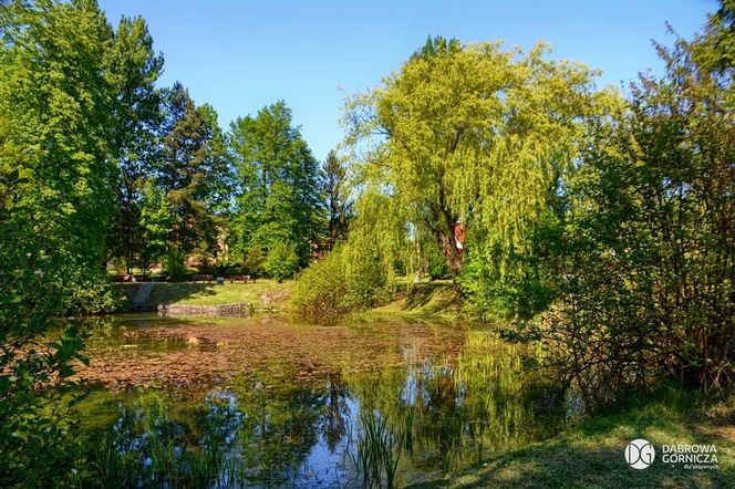 6. Strzemieszyce Wielkie (Dąbrowa Górnicza) – ok. 18.1  km²