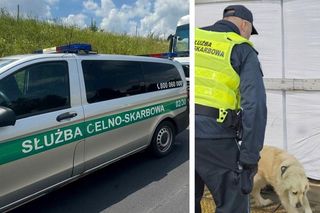 Mercedes na A2 wyglądał na niesprawny, dlatego kierowca wpadł. Jak zmieścił w aucie ponad dwie tony towaru? 