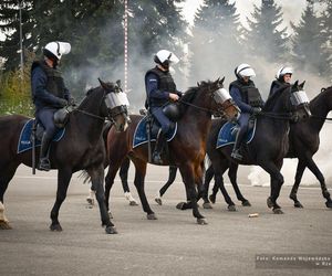 Policyjne konie zdały egzamin!