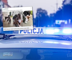 Brutalne pobicie 14-latki. Koleżanki zwabiły ją w pułapkę i wszystko nagrały. Przerażające