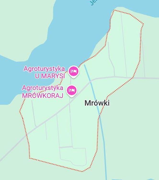 Mrówki
