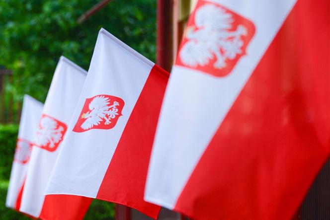Godło Polski do zmiany? Nowy wygląd dużym zaskoczeniem