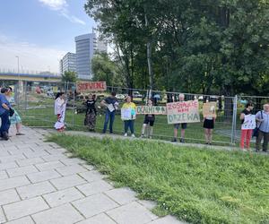 Linia tramwajowa do Mistrzejowic. Protest ws. wycinki drzew w Krakowie