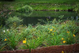 Stawy Brustmana po modernizacji