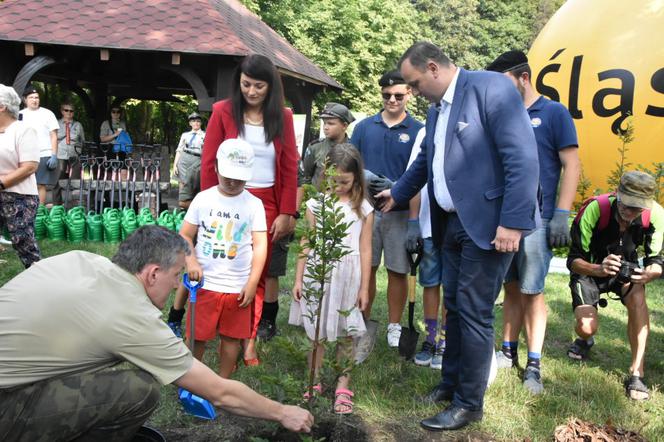 Park Śląski: AKCJA 1327 DRZEW