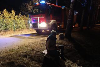 Szczeniak utknął w rurze kanalizacyjnej, przeżył jako jedyny. Dramatyczna akcja ratunkowa Fuksa. 