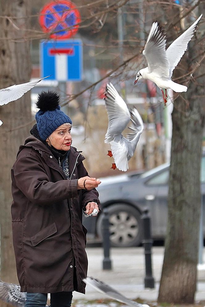 Anna Chodakowska. Gwiazda "Labiryntu" wśród ptaków