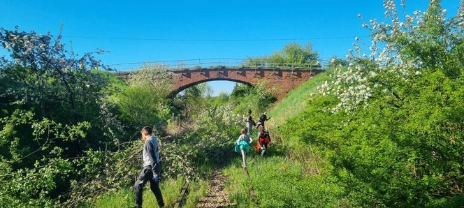 Ludzie sami wyrywają chaszcze na torach. Tak walczą o reaktywację linii kolejowej nr 241 z Tucholi do Koronowa