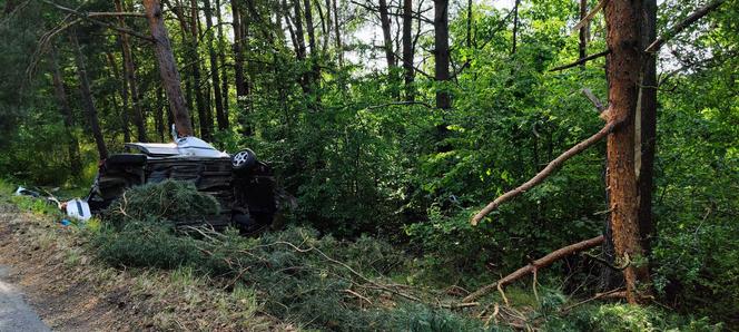 Wypadek w Krzepicach. Dwóch młodych kierowców z impetem uderzyło w drzewa