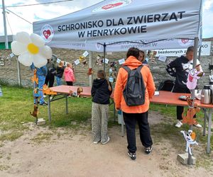 „Wszystkie psiaki nasze są” w schronisku w Henrykowie koło Leszna