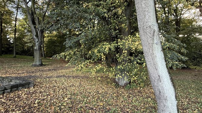 Jesień w Polsce 2025