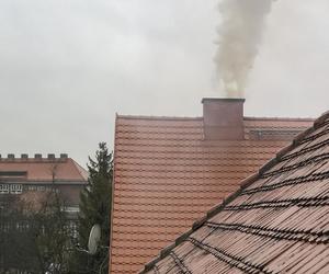 Zakaz palenia węglem w Warszawie. Ratusz zapowiada kontrole i kary 