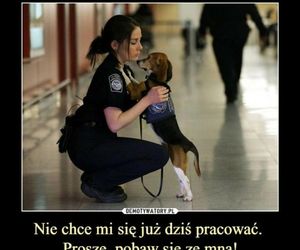 Memy o POLICJI