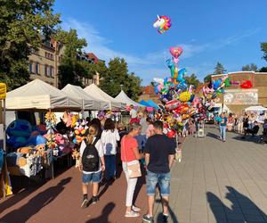 Dni Biskupca 2024. Eska Summer City bawi się na koncertach, zawodach i animacjach. Zobacz zdjęcia!