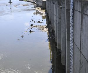 Alarm! Wisła wysycha na naszych oczach. Katastrofalny poziom wody w Warszawie