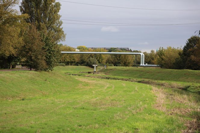 Jesienna odsłona terenów nad Bystrzycą w Lublinie. Tak się prezentuje w październiku