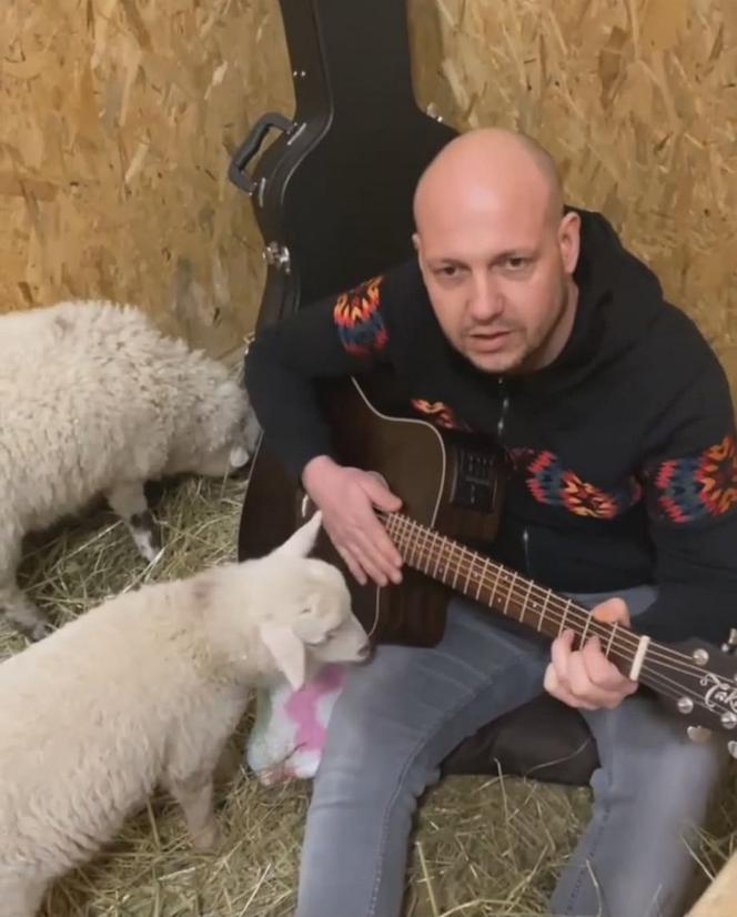 Leczy owce muzyką
