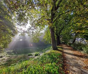 Zamojski Park jesienią