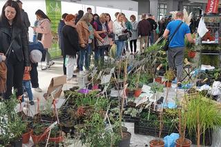 Jasionka.  Tłumy na targach aranżacji wnętrz i ogrodnictwa
