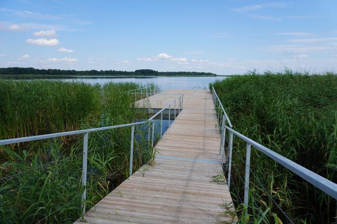 Podlaska Atlantyda, czyli Zalew Siemianówka i okolice