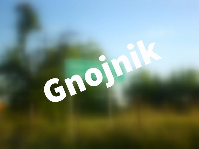 Gnojnik