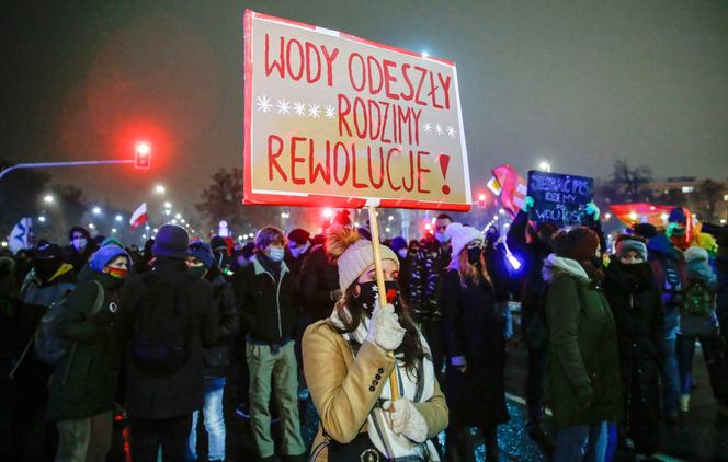 Ogólnopolski Strajk Kobiet 28.01.2021: Transparenty, rozlana farba przez TK