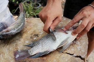 Jak oczyścić rybę z łusek bez noża w 1 minutę? Prosto, szybko, łatwo, bez bałaganu 