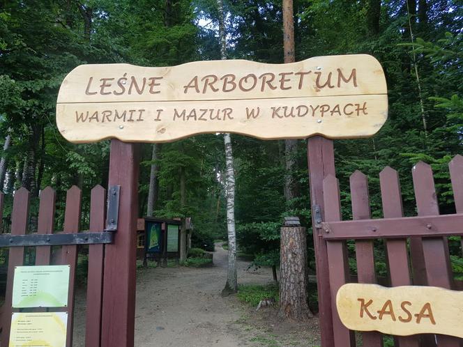 Leśne Arboretum Warmii i Mazur w Kudypach