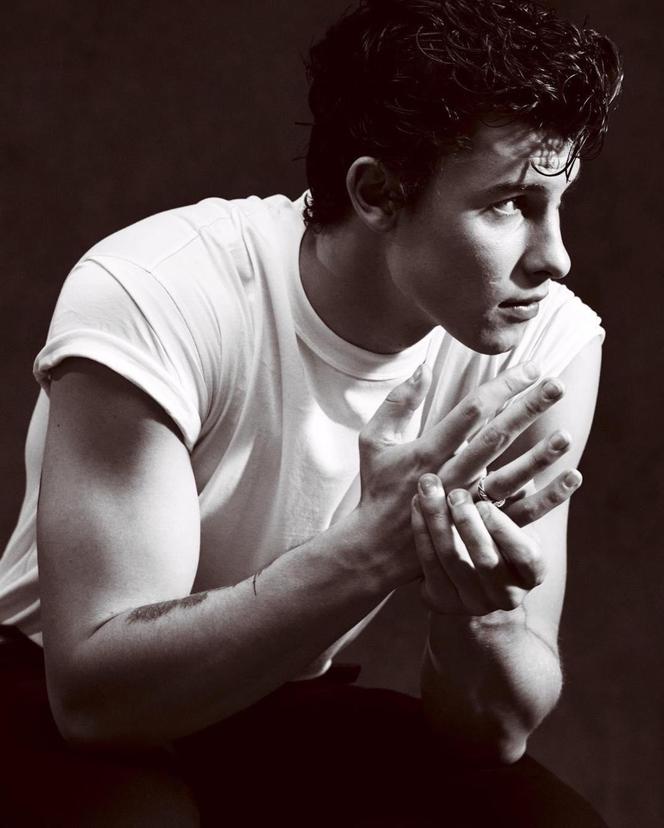 Shawn Mendes 