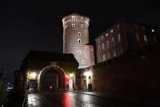 Kaczyński na Wawelu