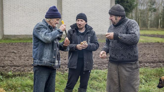 Sławek, Andrzej i Gienek - trójka, która zdobyła sympatię widzów