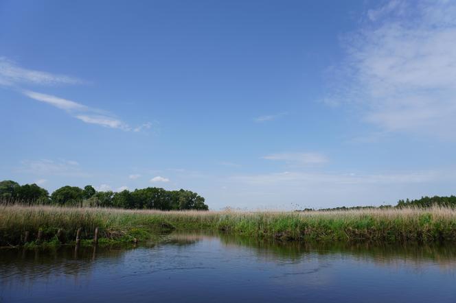 Narwiański Park Narodowy