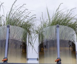 Canal Cafe ze Złotym Lwem - Biennale Wenecja 2025