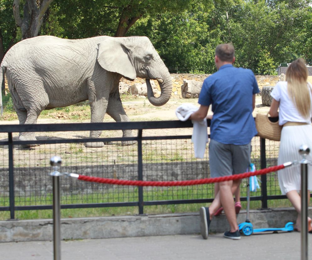 Niebezpieczne incydenty w warszawskim zoo. Ogród ma ważny apel 