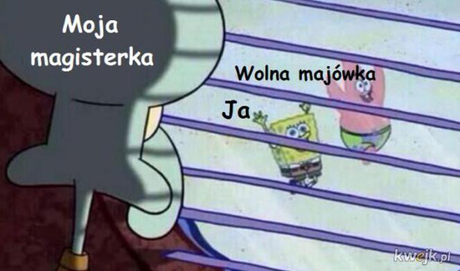 Majwówka 2020 memy