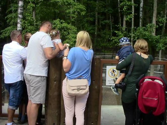 Stawianie dzieci na ogrodzeniu wybiegu dla zwierząt jest zabronione i niebezpieczne.