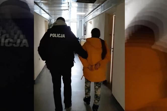 Śląskie: Policja zatrzymała parę pedofili