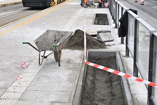 Najpierw wyremontowali przystanki, teraz je niszczą by zasadzić zieleń. Absurd na ul. Grochowskiej