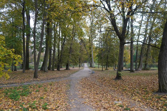 Park Lubomirskich w Białymstoku jesienią 